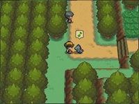 Pokemon Version Argent SoulSilver sur Nintendo DS